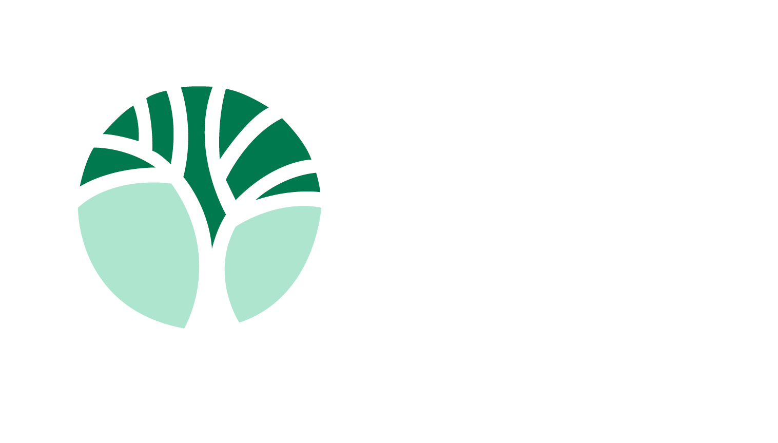 BBI Fairkehr